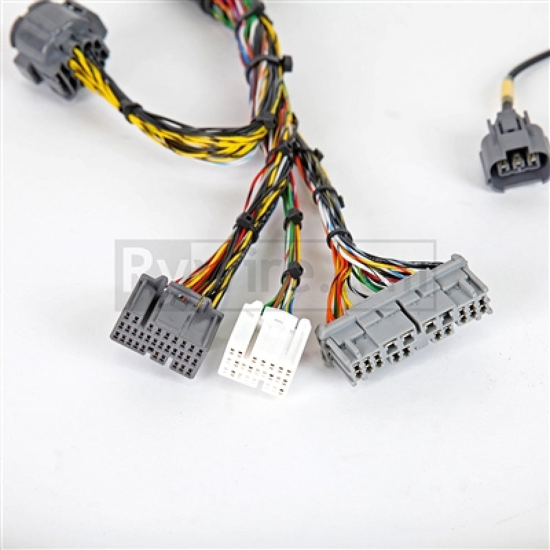 Rywire 02-04 Honda K-Series Mil-Spec Engine Harness w/OBD2 02-04 RSX K20 Sensors (Adapter Req) Wiring Harnesses Rywire