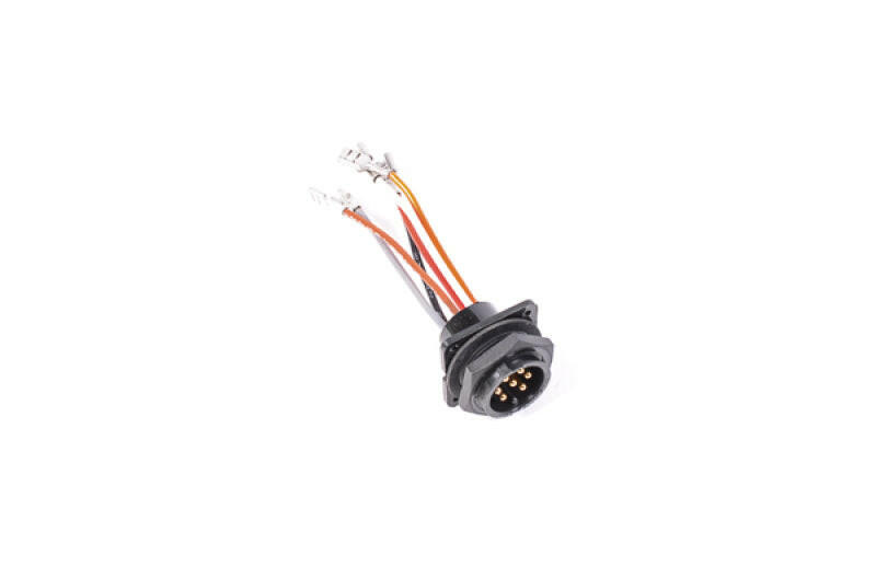 Radium Engineering Bulkead Harness Internal Triple Walbro F90000262 Pump Wiring Harnesses Radium Engineering