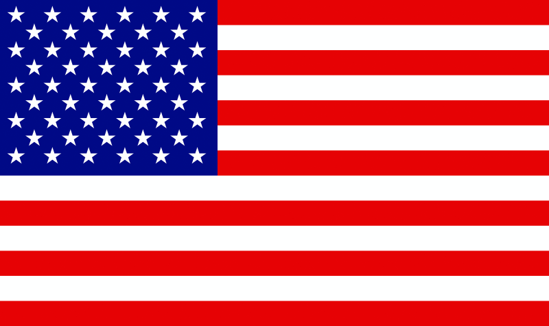 DragonFire Racing Whip Flag - American Flag Whip Lights DragonFire Racing