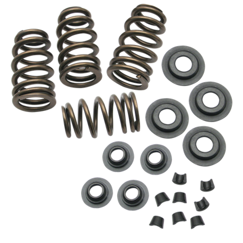 S&S Cycle 84-04 BT/86-03 Sportster Models .650in Lift Sidewinder Valve Spring Kit Valve Springs, Retainers S&S Cycle