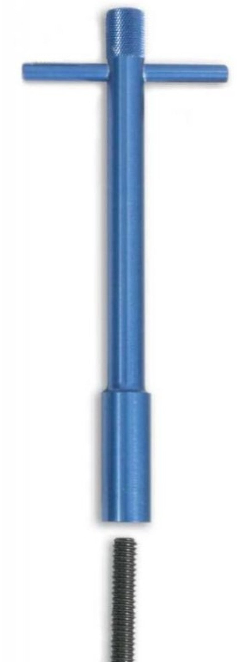 Moroso Valve Cover Wing Nuts - 1/4in-20 x 1-3/8in - Aluminum - Blue Powder Coat - 4 Pack Hardware - Singles Moroso