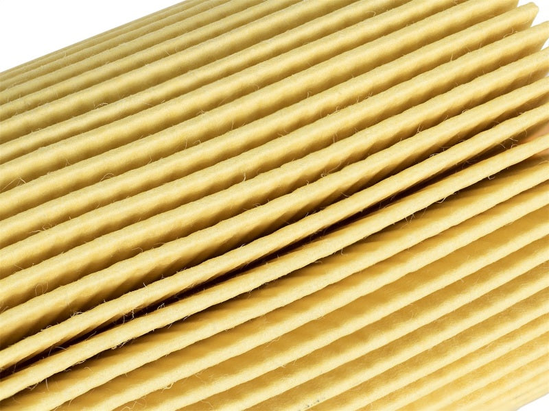 aFe ProGuard D2 Fluid Filters Fuel F/F Oil; Toyota Tundra 07-12 V8-5.7L Oil Filters aFe