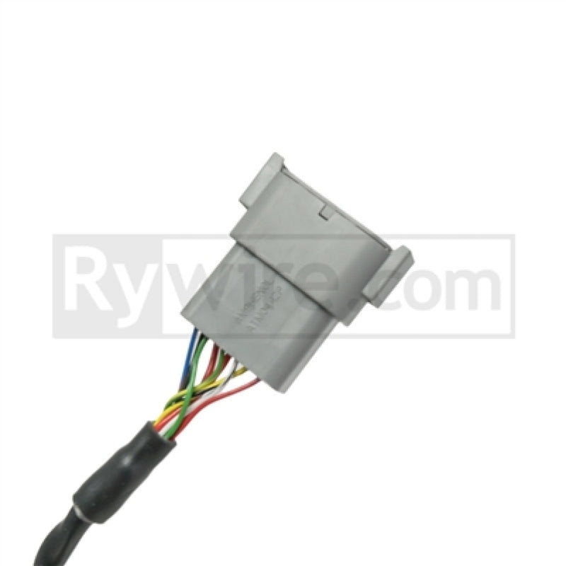 Rywire Switch Panel (6 Toggles / Will Not Work w/PDM Systems) Switch Panels Rywire