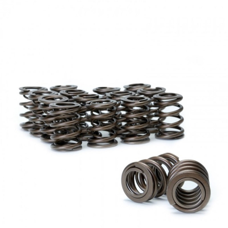 Skunk2 Tuner Series Honda/Acura (B16A/ B17A/ B18C) DOHC VTEC Alpha Valve Spring Set (Dual Springs) Valve Springs, Retainers Skunk2 Racing