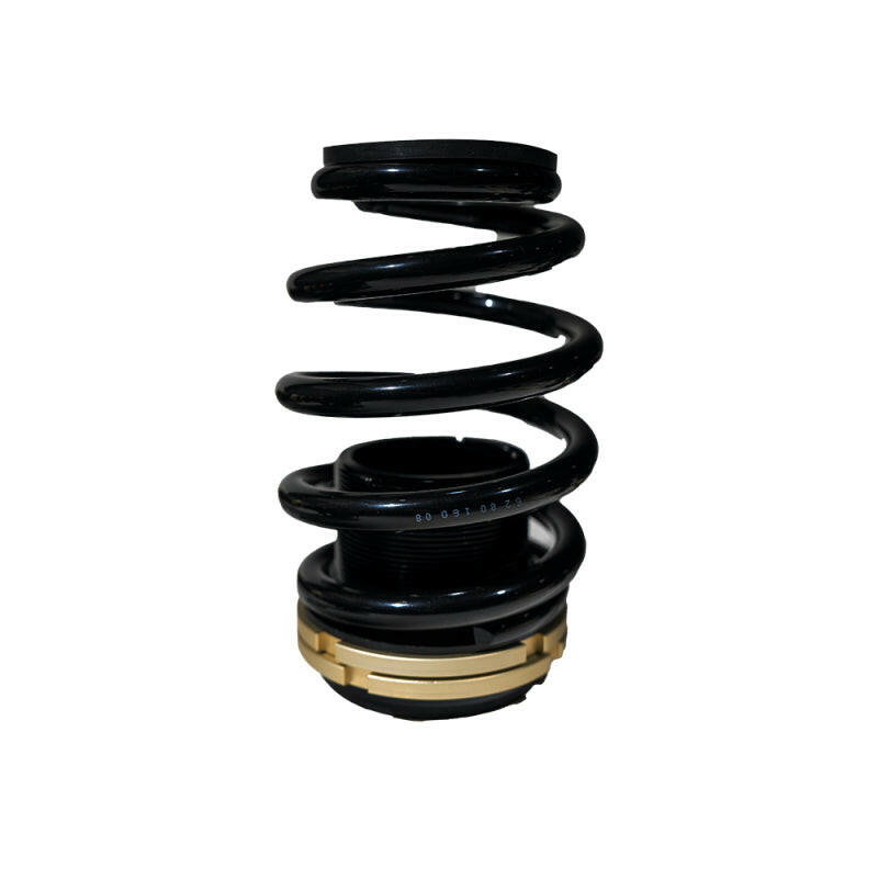 BLOX Racing 14-15 Honda Civic Si Plus Series Fully Adjustable Coilovers Coilovers BLOX Racing
