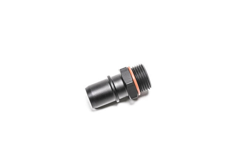 Radium Engineering 10AN ORB To .750 SAE Male Fittings Radium Engineering