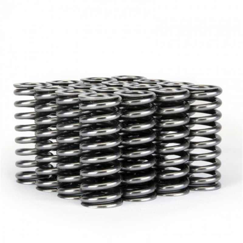 Skunk2 Alpha Series Honda D Series VTEC Valve Spring Set Valve Springs, Retainers Skunk2 Racing