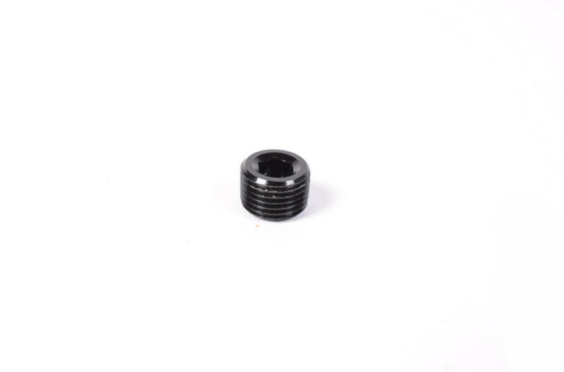Radium Engineering 1/8in NPT Plug Fittings Radium Engineering