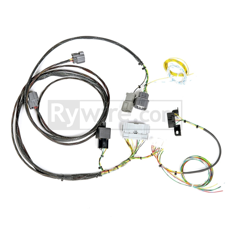 Rywire 90-93 Honda Accord (CB) Auto Trans K-Series Adapter Wiring Connectors Rywire