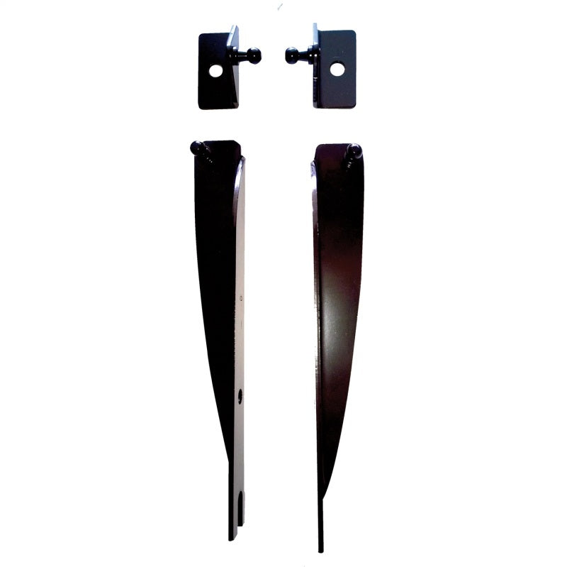 Ford Racing 05-14 Mustang Hood Lift Kit w/ Laser Engraved Ford Performance Logo Hood Struts Ford Racing