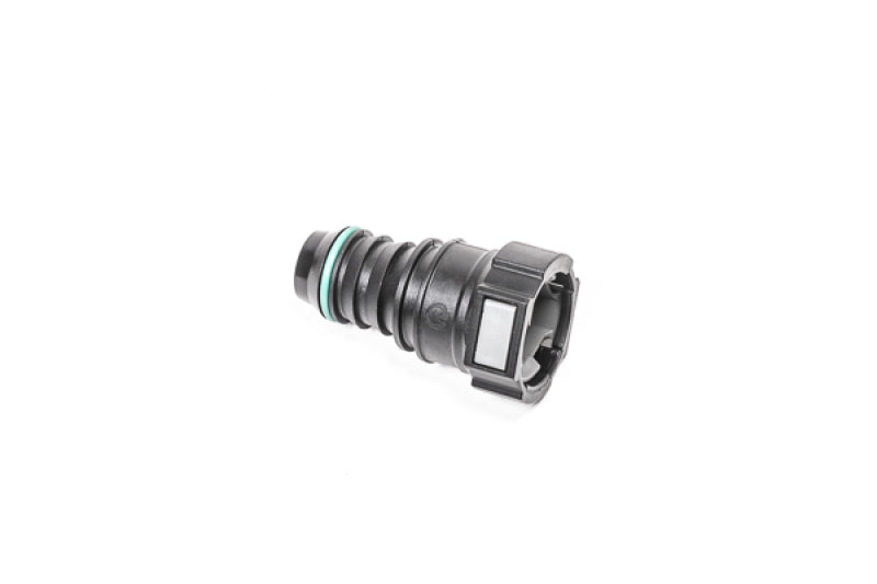 Radium Engineering 3/4in SAE Female to 3/4in Barb Fittings Radium Engineering