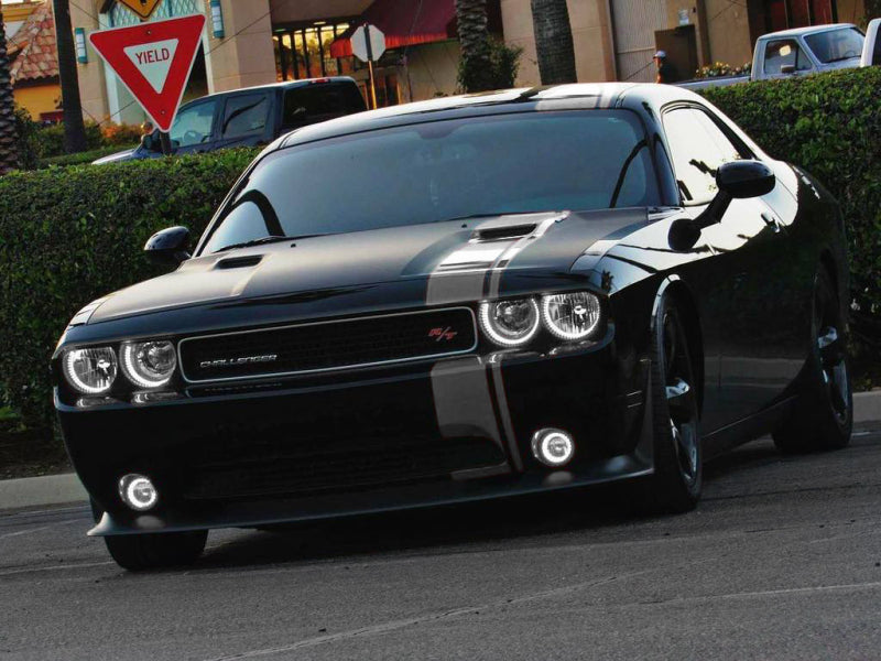Oracle Dodge Challenger 08-14 LED Waterproof Halo Kit - White Fog Lights ORACLE Lighting