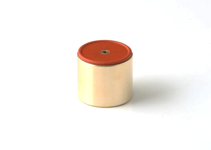GFB Replacement DV+ Piston (Provide Piston Size/Specs in Order Notes) Blow Off Valves Go Fast Bits