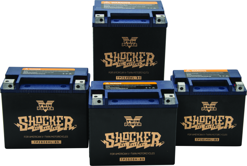 Twin Power YTX-14L Shocker Gel Battery Replaces H-D 65958-04 220 CCA Batteries TwinPower