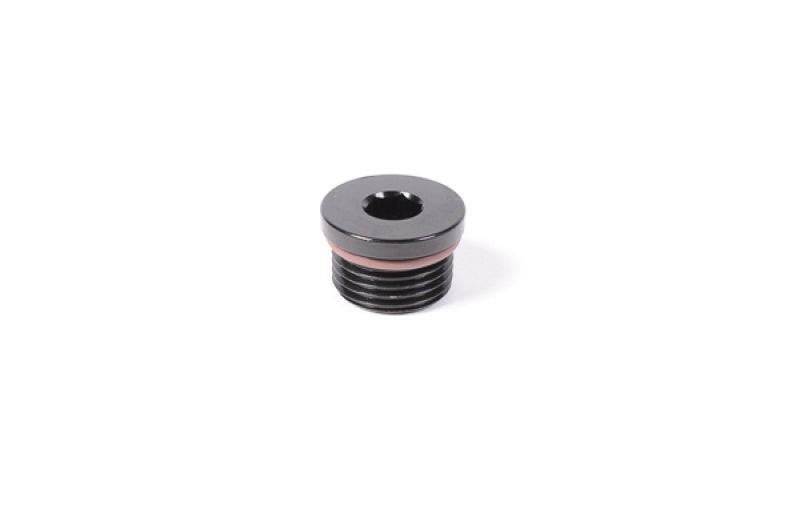 Radium Engineering 12AN ORB Plug Fittings Radium Engineering