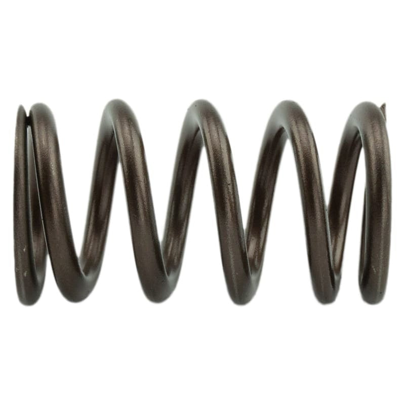 Industrial Injection 110 LBS Single Valve Spring Set Valve Springs, Retainers Industrial Injection