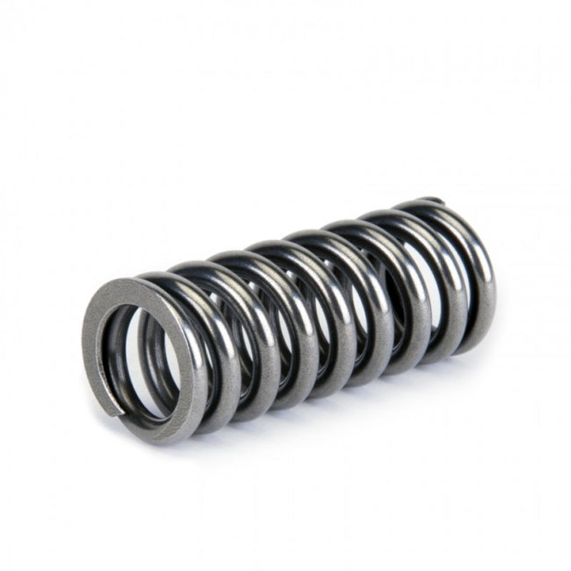 Skunk2 Alpha Series Honda D Series VTEC Valve Spring Set Valve Springs, Retainers Skunk2 Racing