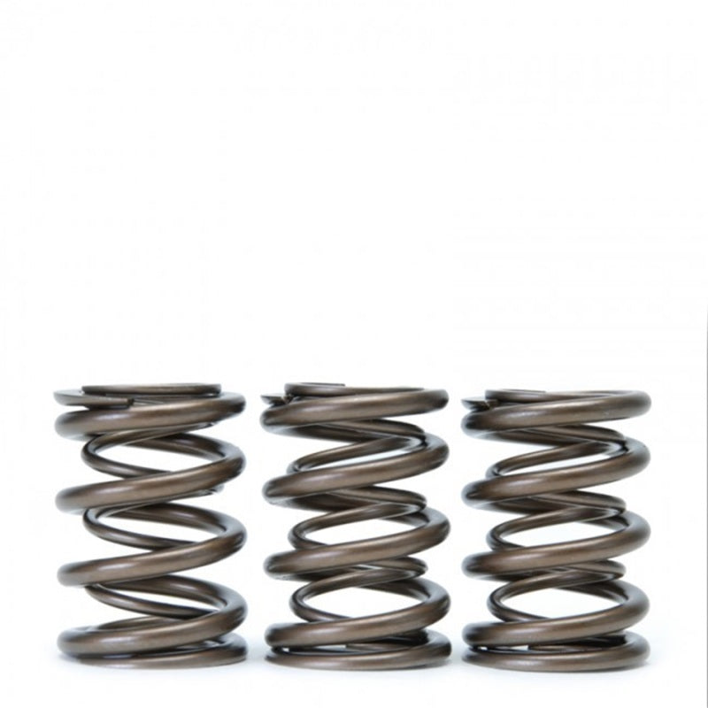 Skunk2 Tuner Series Honda/Acura (B16A/ B17A/ B18C) DOHC VTEC Alpha Valve Spring Set (Dual Springs) Valve Springs, Retainers Skunk2 Racing
