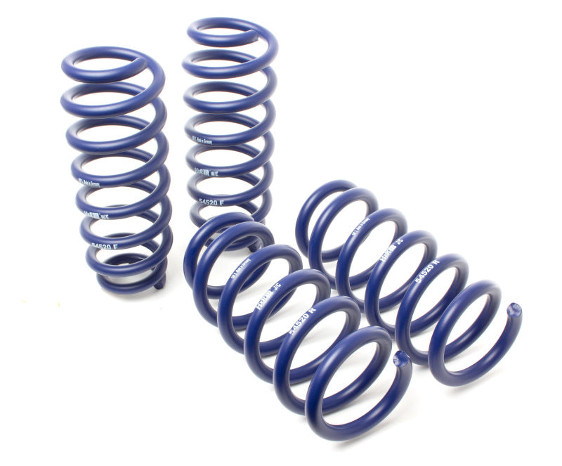 H&R 20-22 Tesla Model Y Performance (AWD) Lift Spring (Non Air Susp.) Lift Springs H&R