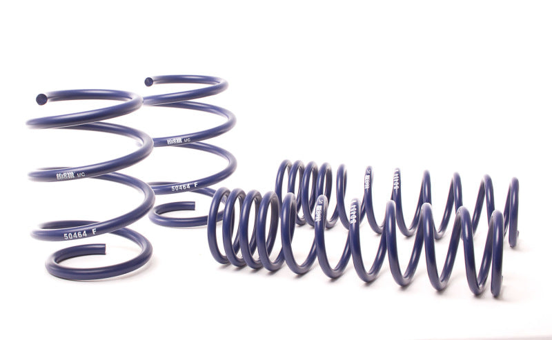 H&R 96-03 BMW 540i E39 Race Spring (Non Touring & w/o Sport Susp.) Lowering Springs H&R
