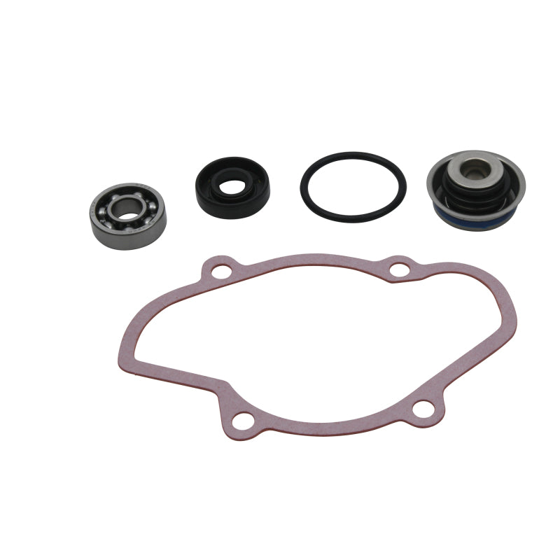Vertex Gaskets 16-18 Ski-Doo Expedition 800 2-Stroke ETEC Water Pump Rebuild Kit Water Pumps Vertex Pistons