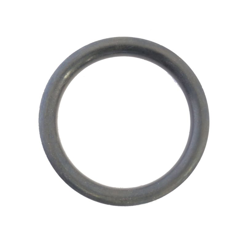 Athena Harley-Davidson Sportsters Fuel Cap O-Ring - Set of 10 O-Rings Athena