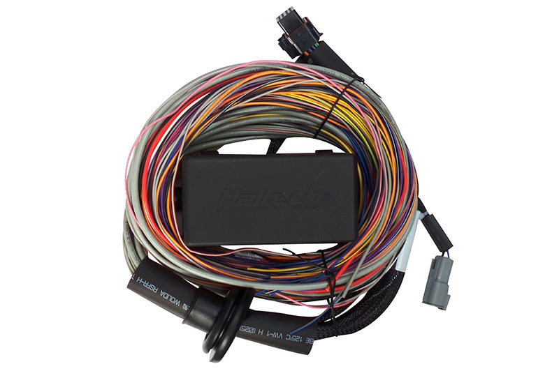 Haltech Elite 750 8ft Premium Universal Wire-In Harness Wiring Harnesses Haltech