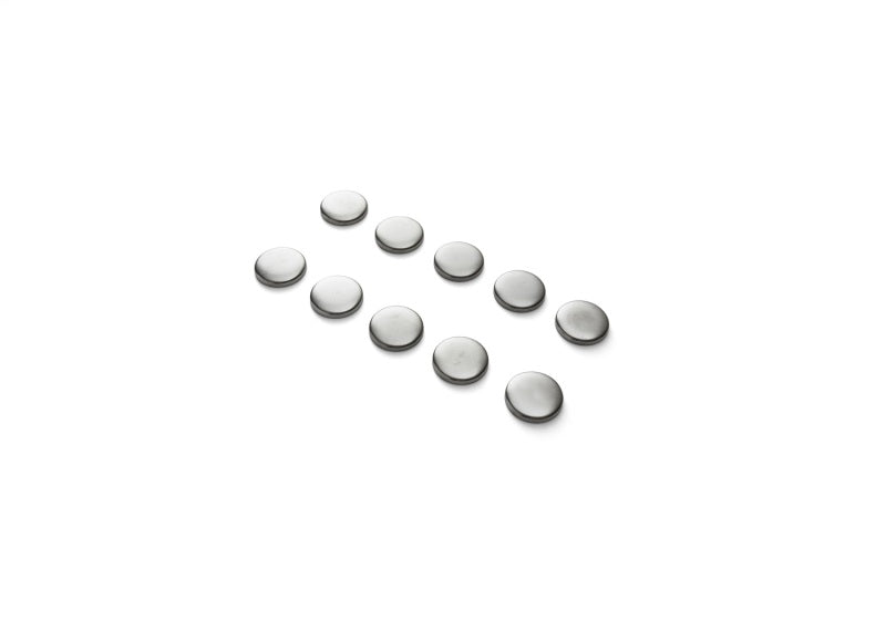 Ford Racing Cylinder Block Camshaft Plug Engine Hardware Ford Racing