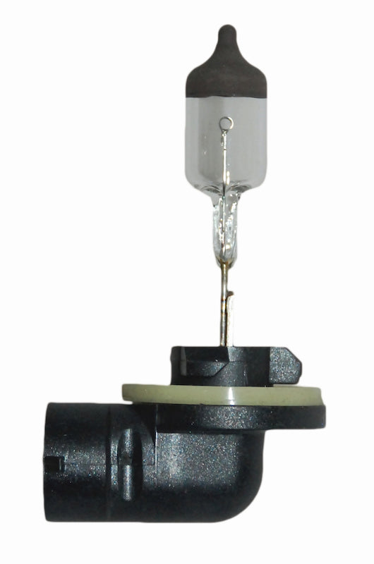 Hella Bulb 896 12V 37.5W PGJ13 T3.25 Bulbs Hella