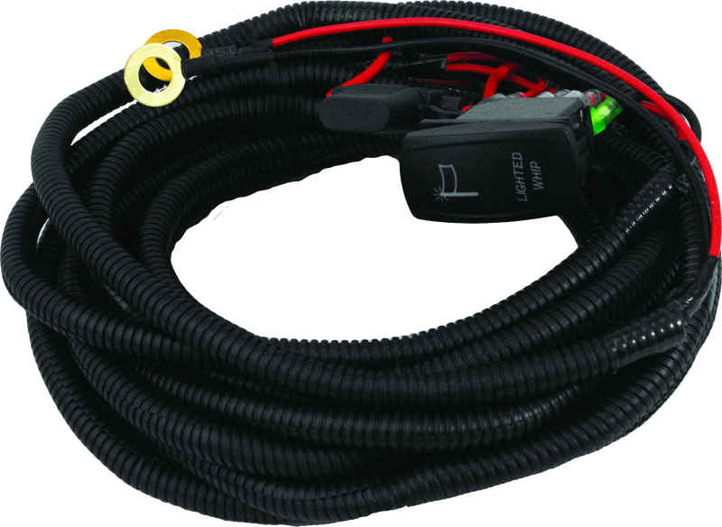 DragonFire Racing Whip Harness - 4 Seat- Single Wiring Harnesses DragonFire Racing