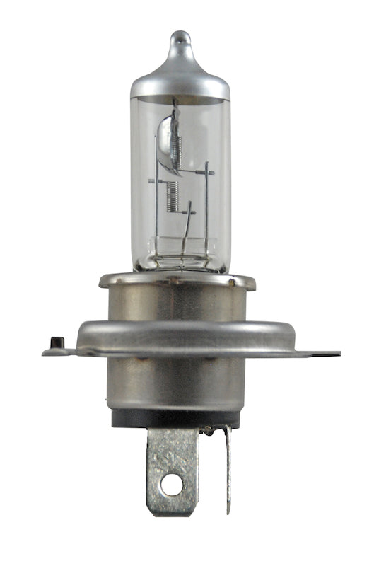 Hella Bulb H4 12V 60/55W P43t T4.625 +50 Bulbs Hella