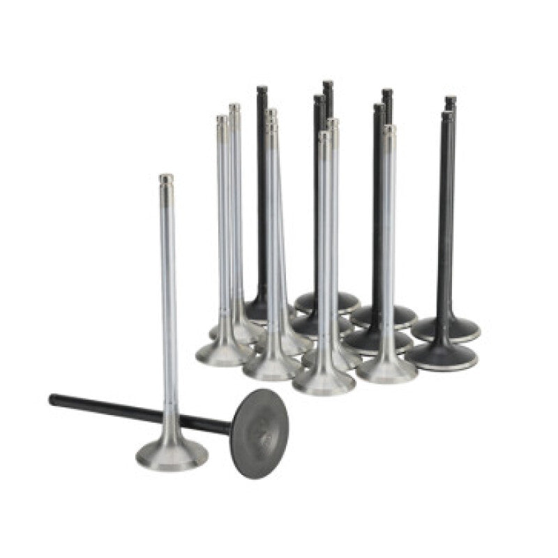 Skunk2 Honda K20C1 Alpha Series Intake & Exhaust Valve Set (Standard Compression) Valves Skunk2 Racing