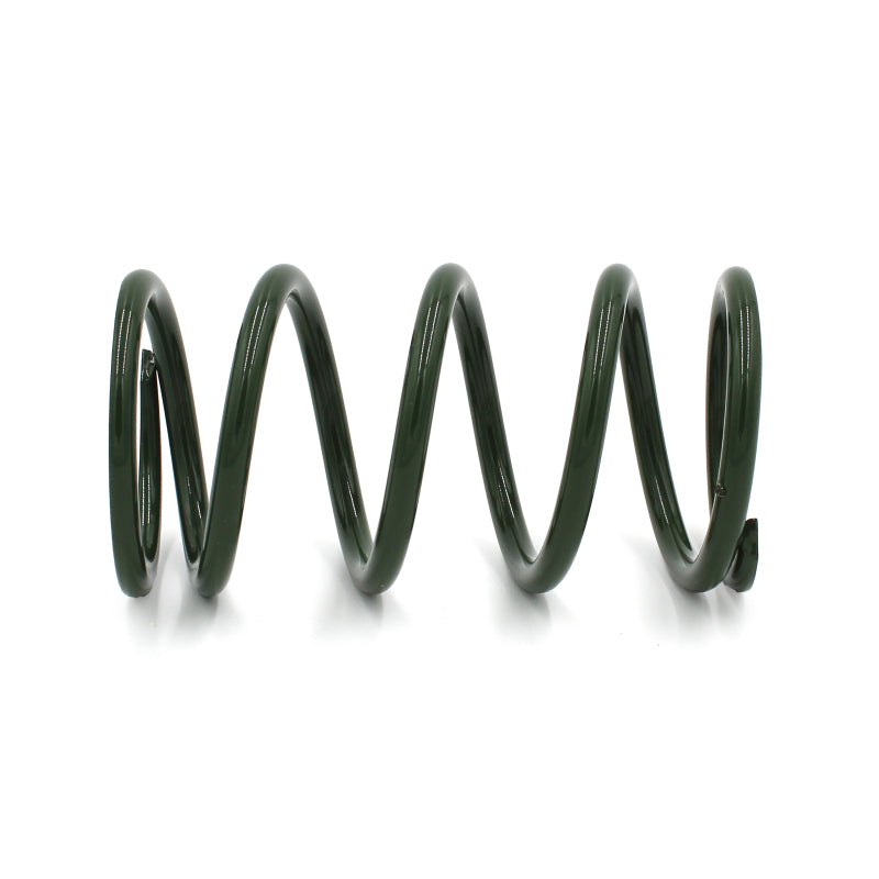 EPI 24+ Polaris RZR XP/4 / Xpedition XP/ADV Secondary Clutch Spring Green Clutch Rebuild Kits EPI