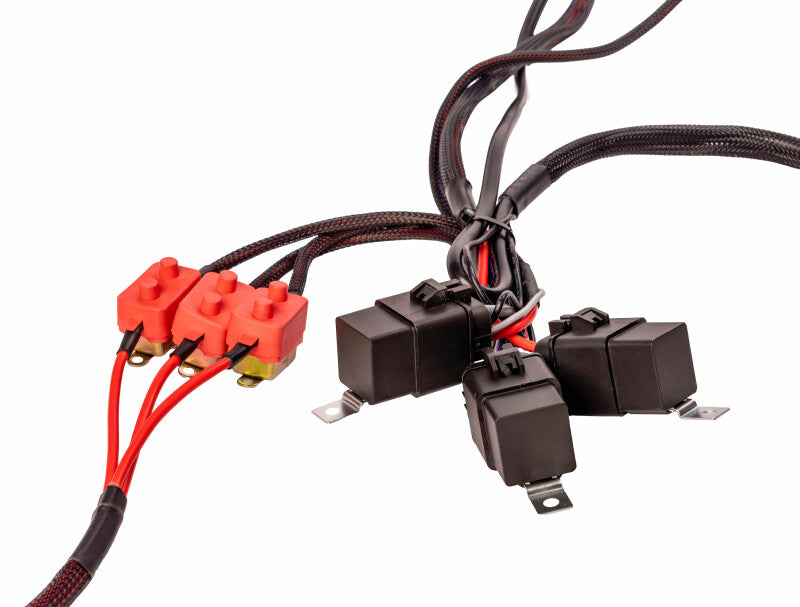 Aeromotive Wiring Harness Kit - Triple Fuel Pump Wiring Harnesses Aeromotive