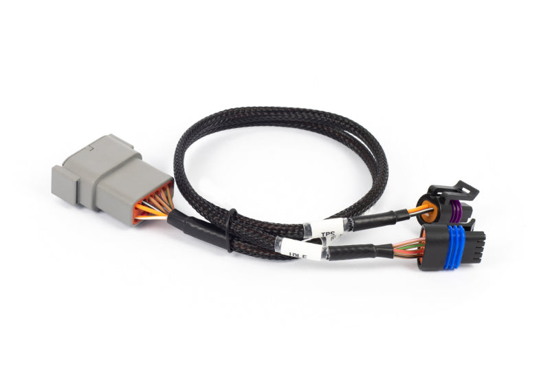 Haltech NEXUS Rebel LS Cable Throttle & IAC Sub-Harness (Plug-n-Play w/HT-186500) Wiring Harnesses Haltech