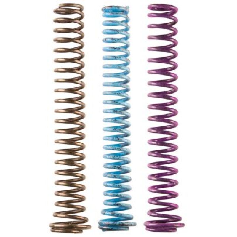 Moroso 3 Piece Replacement Oil Pump Spring Kit (For 22163/22164/Tri-Lobe Ext/Dry Sump) Hardware Kits - Other Moroso