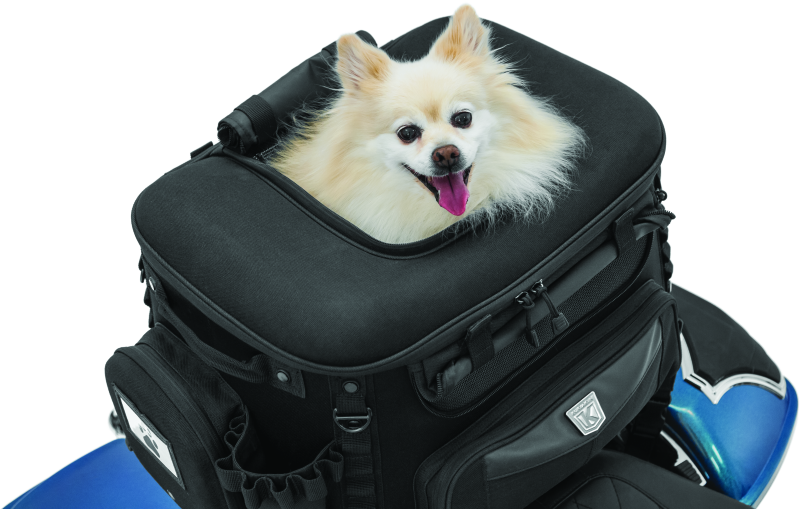 Kuryakyn Grand Pet Palace Cargo Boxes & Bags Kuryakyn