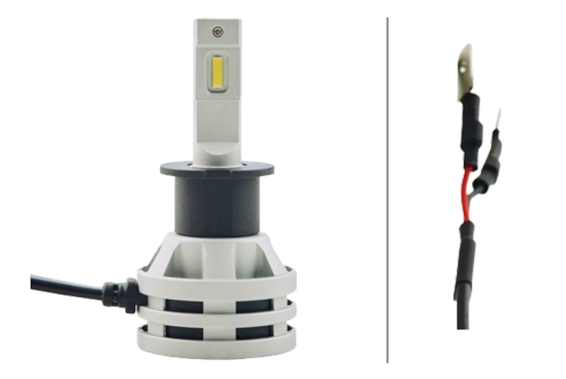 Hella Bulb H3 12/24V 19W Set of 2 Bulbs Hella