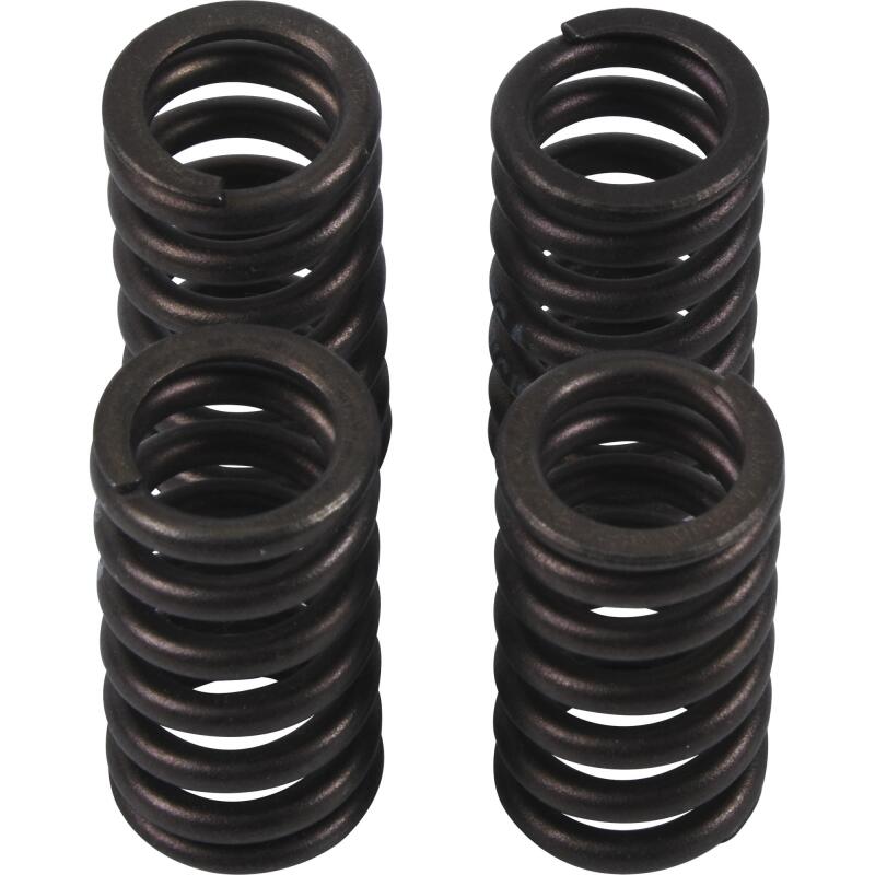 Hot Cams Valve Spring Kit, ea, 1 Valves Hot Cams
