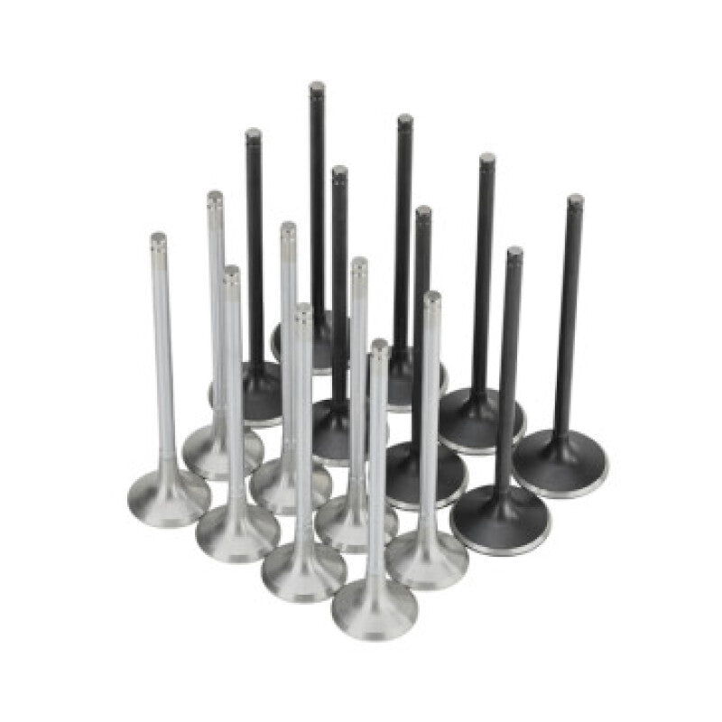 Skunk2 Honda K20C1 Alpha Series Intake & Exhaust Valve Set (Standard Compression) Valves Skunk2 Racing