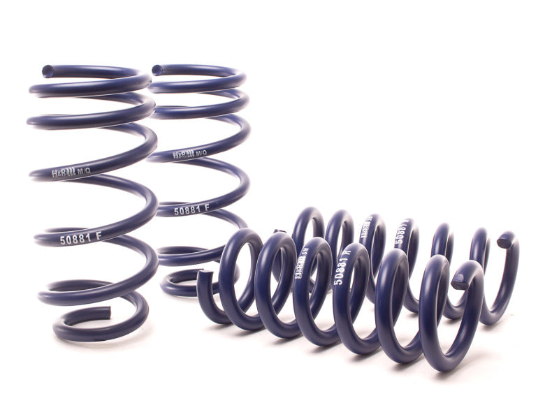 H&R 11-21 Dodge Charger SE/SXT/SXT Plus (2WD/4WD) Rallye/Plus/V6 Sport Spring Lowering Springs H&R