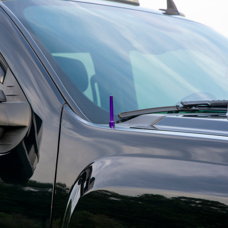 Wehrli 07.5-19 Chevrolet 6.6L Duramax Billet TIG Torch Stubby Antenna - Semi-Gloss Black Antennas Wehrli