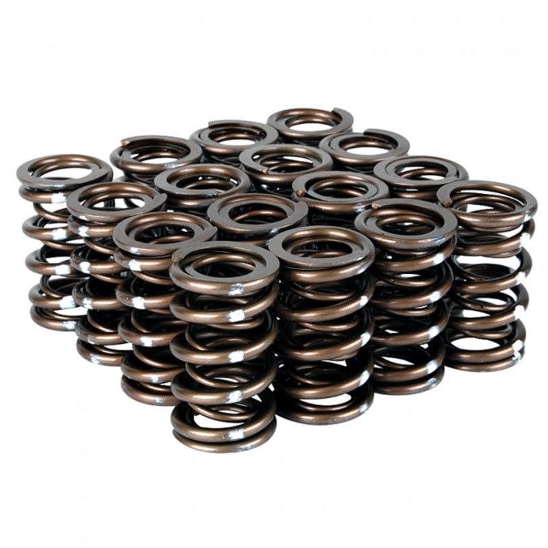 Skunk2 Pro Series Honda/Acura B-Series VTEC XP Valve Spring Set (Dual Springs) Valve Springs, Retainers Skunk2 Racing