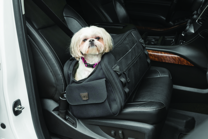 Kuryakyn Pet Palace Flyweight Bolts Kuryakyn