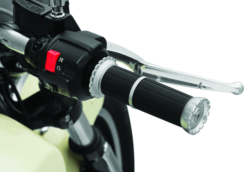 Kuryakyn Riot Grips Scout Silver Bolts Kuryakyn