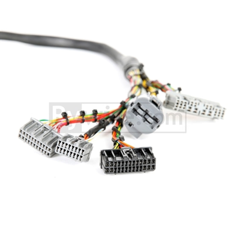 Rywire Honda B/D-Series Mil-Spec Eng Harness w/OBD1 Dist/Inj/Alternator & 92-95 Plugs (Adapter Req) Wiring Harnesses Rywire
