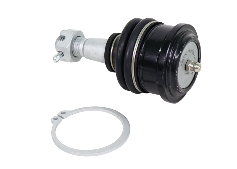 Whiteline 05-21 Nissan Frontier Fixed Offset UCA Replacement Ball Joint Kit Ball Joints Whiteline