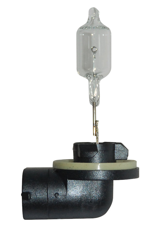 Hella Bulb 888 12V 50W PGJ13 T3.25 Bulbs Hella