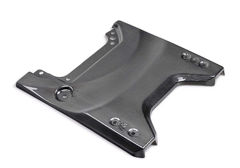 Ford Racing 22-24 Bronco Raptor Carbon Fiver Tailgate Applique - Gloss Spoilers Ford Racing