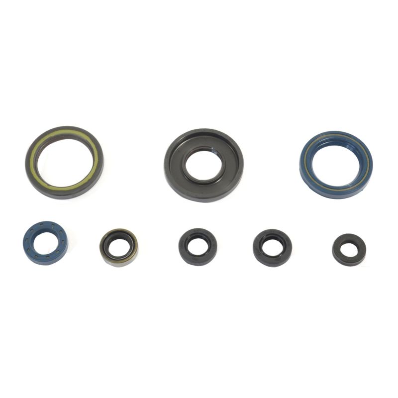 Athena 84-89 KTM 250 GS-MX Engine Oil Seal Kit Engine Gaskets Athena